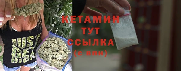 сатива Абинск