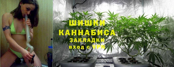 сатива Абинск