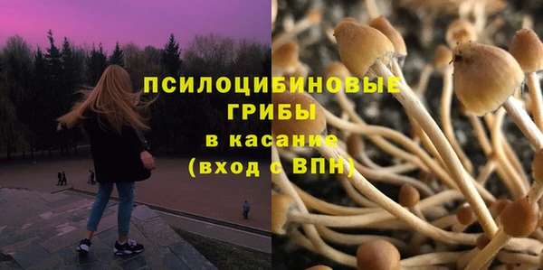 сатива Абинск